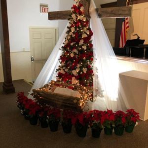 Meet your Posher, Julie